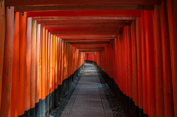 京都の伏見稲荷大社　千本鳥居