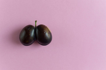 Ugly plum on pink background with copy space. Horizontal