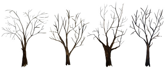 Watercolor hand drawn illustration set of four bare trees with no leaves, ecological concept nature forest wood woodland. Brown trunk bark in winter, spring, autumn. Naked tree branch silhouette