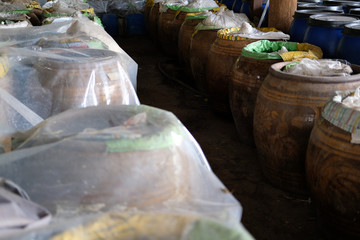 Pickled Green Chinese Cabbage fermented in jar in factory.