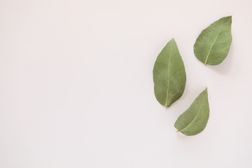 Simple flat lay image featuring three gum leaves on white background with copy space