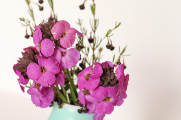 Naklejka na ściany i meble Basic white flat lay background image featuring purple wallflowers and boronia stems with copy space 