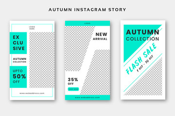 Autumn Instagram story template social media web banner