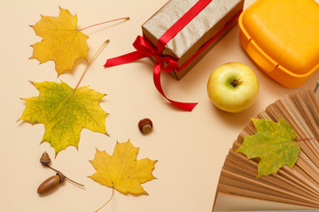 Ripe apple, lunchbox and dry leaves on a beige background, Top view.