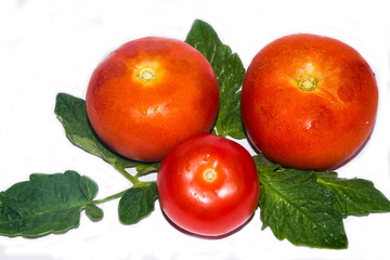 tomatoes and cucumbers