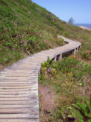 Fototapeta na wymiar Wooden path in a hill of Praia do Rosa, Florianopolis, Brazil