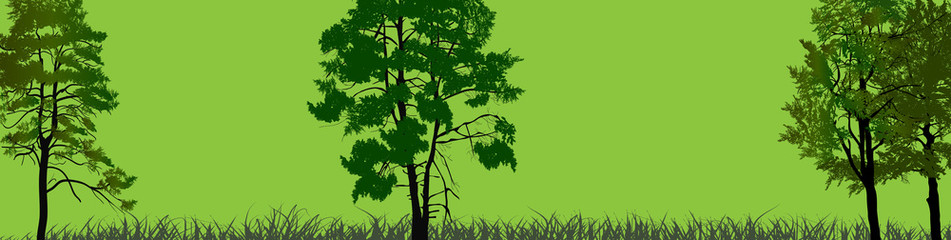 Obraz premium trees in grass on green and background