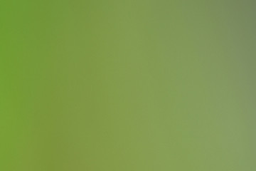 Bokeh green nature, Subtle background in abstract style for graphic design or wallpapers