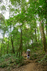 Local porter carrying lugguages and walking to the mountain peak through forest