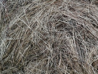 hay bale background