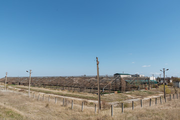 Horrible scene of a damaged, old, scary and abandoned greenhouse for growing plants.