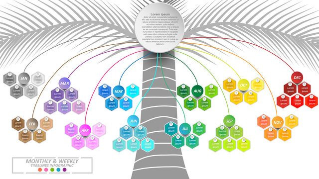 Modern business horizontal timeline monthly and weekly chart infographics template with coconut background. Vector banner used for presentation. Abstract elements of graphic weekly plan. Vector EPS10