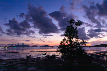 Fototapeta na wymiar Morning low tide sea view with dark dawn sky.