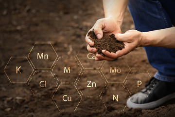 Man testing rich soil outdoors, closeup - obrazy, fototapety, plakaty