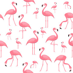 Naklejka premium Flamingo, seamless wallpaper with flamingo birds on a white background. Vector illustration.