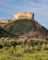 Mesa Verde 43