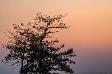 Scenery photos on a clear day.42