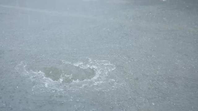 ゲリラ豪雨　