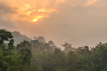 Morning at the edge of the reservoir.9