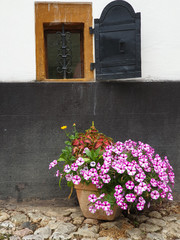 Fototapeta na wymiar Small basement window, flowers in front, Rimetea