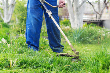 The gardener mows the grass with a trimmer in the spring garden