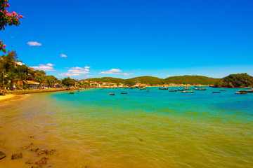 tropical beach in brazil