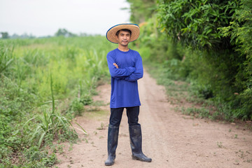 Full body of Asian farmer man standing and cross hands looking sky at green farm
