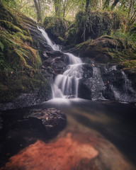 waterfall in the forest