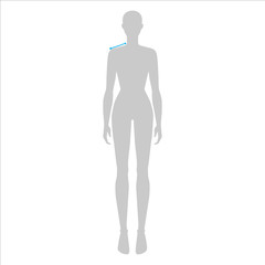 Women to do shoulder measurement fashion Illustration for size chart. 7.5 head size girl for site or online shop. Human body infographic template for clothes. 
