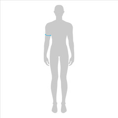 Men to do biceps measurement fashion Illustration for size chart. 7.5 head size boy for site or online shop. Human body infographic template for clothes. 