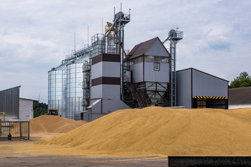 Modern Granary elevator. Silver silos on agro-processing and manufacturing plant for processing...
