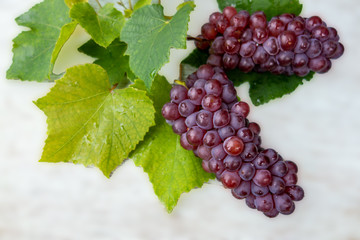 ブドウの実と葉っぱ/家庭菜園/デラウェア