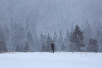 Photographer tourist stays on the lawn covered with snow. Magical winter forests. Snowy background. Nature scenery.