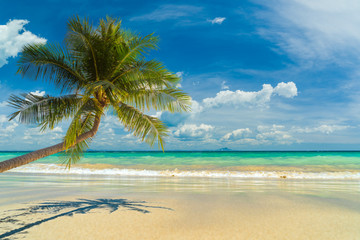 Amazing tropical beach landscape
