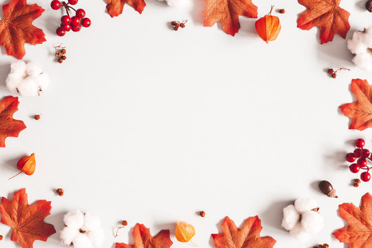 Autumn composition. Frame made of flowers, maple leaves on gray background. Autumn, fall, thanksgiving day concept. Flat lay, top view