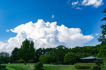 Fototapeta premium 夏のある日の空模様