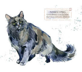 Nibelung cat. home pet. breed of Cats series. cute kitten. watercolor domestic animal illustration. 