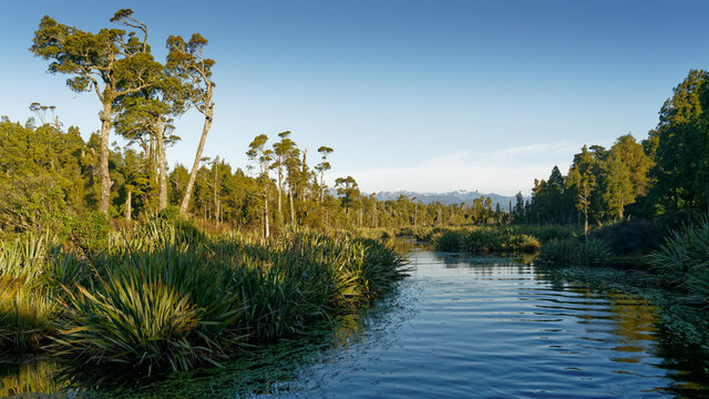 Wetland leading to Lake Mahinapua, Hokitika, west coast, sought island, New Zealand.