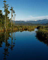 Wetland leading to Lake Mahinapua, Hokitika, west coast, sought island, New Zealand.