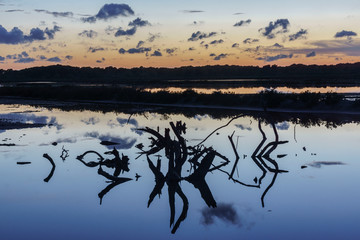 Salobrar de Campos, Mallorca, balearic islands, Spain