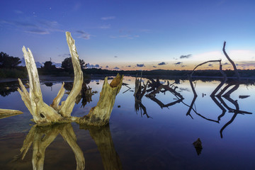 Salobrar de Campos, Mallorca, balearic islands, Spain