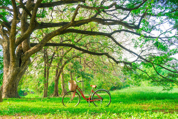 Fototapeta premium Red bicycle on green meadow grass in fresh summer park
