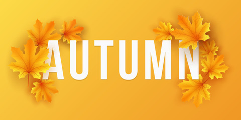 Seasonal fall banner with maple leaves on orange background. Festive template for design your advertisement. Natural concept. Vector illustration.