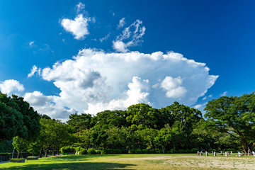 夏のある日の空模様
