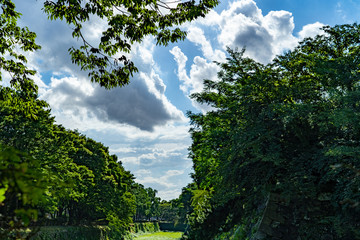 Obraz premium 夏のある日の空模様