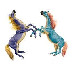 cheval, coloré, vert, mauve, robe spéciale , combat, debout, menaçant, bleu, fantastique, beau, force,  animal, isolé, blanc, silhouette, illustration,  étalon, course, galop, sauvage, courir,  mammif