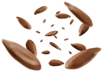 Flax seeds are levitated on a white background