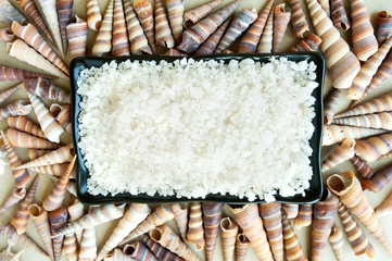 white sea salt in a black rectangular dish and a lot of identical long shells around on the background