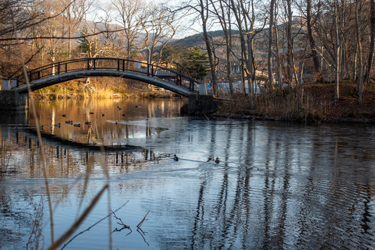 北海道大沼国定公園