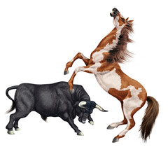  combat de cheval et le taureau, force, attaque, debout, animal, brun, mammifère, joli, sauvage, agressive, dangereux, illustration, de race, ferme, fond blanc, coloré, fantastique, musclé, fort